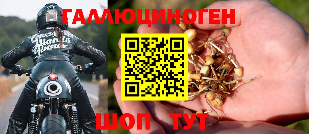 Галлюциногенные грибы мухоморы  Галлюциногенные грибы Magic Shrooms  Калач-на-Дону  Вход с VPN 